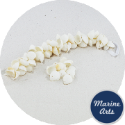 8586 - Drilled - White Cockle - Sea Shell Garland